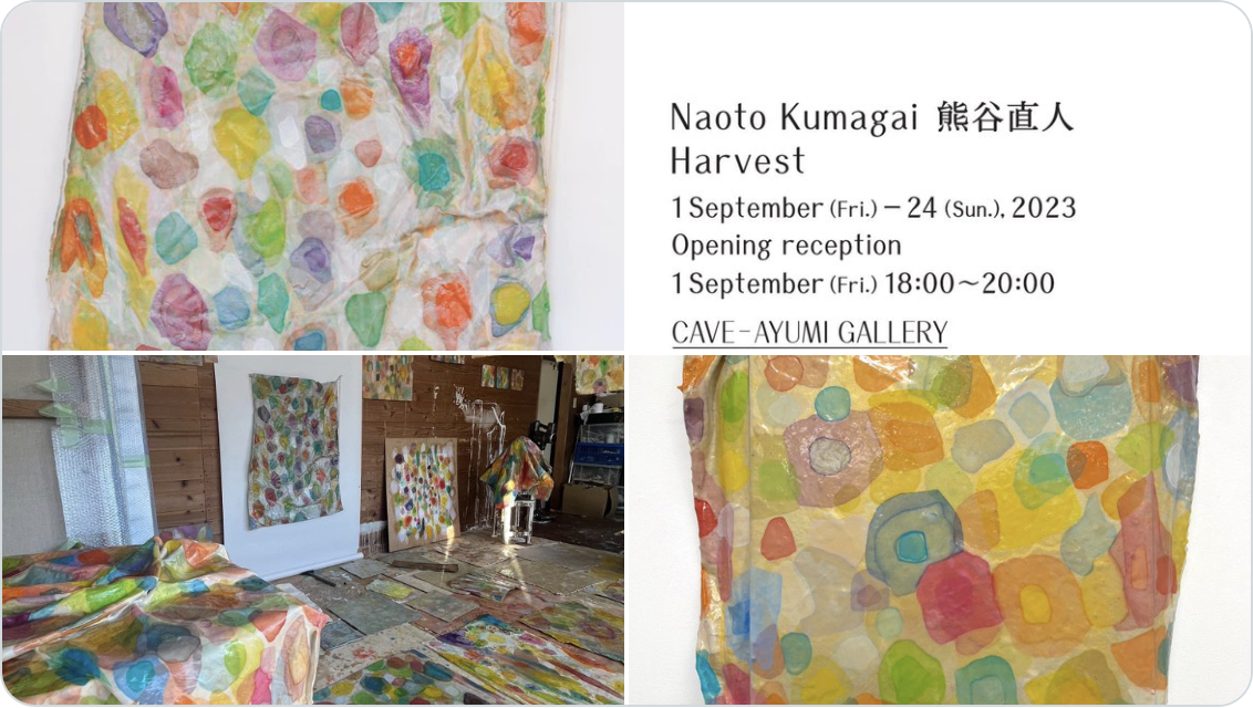 Harvest  熊谷直人